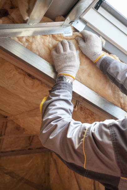 Best Insulation Installation Services in Tuntutuli, AK