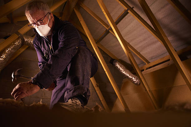 Best Insulation Maintenance and Repair in Tuntutuli, AK